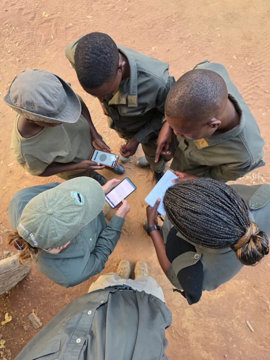 Rangers recording data on EarthRanger Mobile during a training session